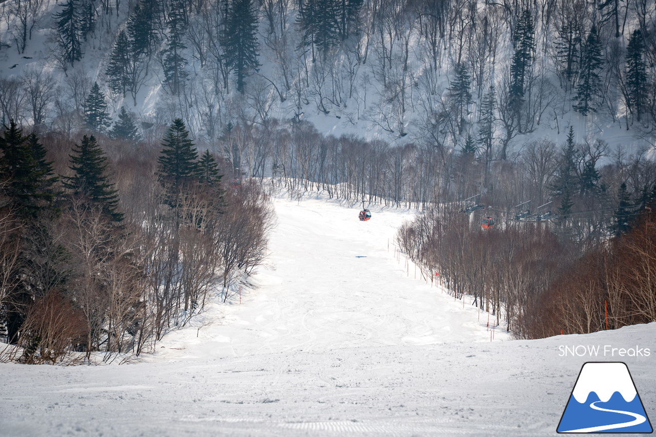 札幌国際スキー場｜さすが『KOKUSAI』！春シーズンも安泰の豊富な積雪で、まだまだ余裕で全面滑走可能です(^^)v